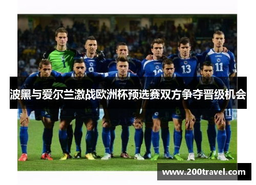 波黑与爱尔兰激战欧洲杯预选赛双方争夺晋级机会